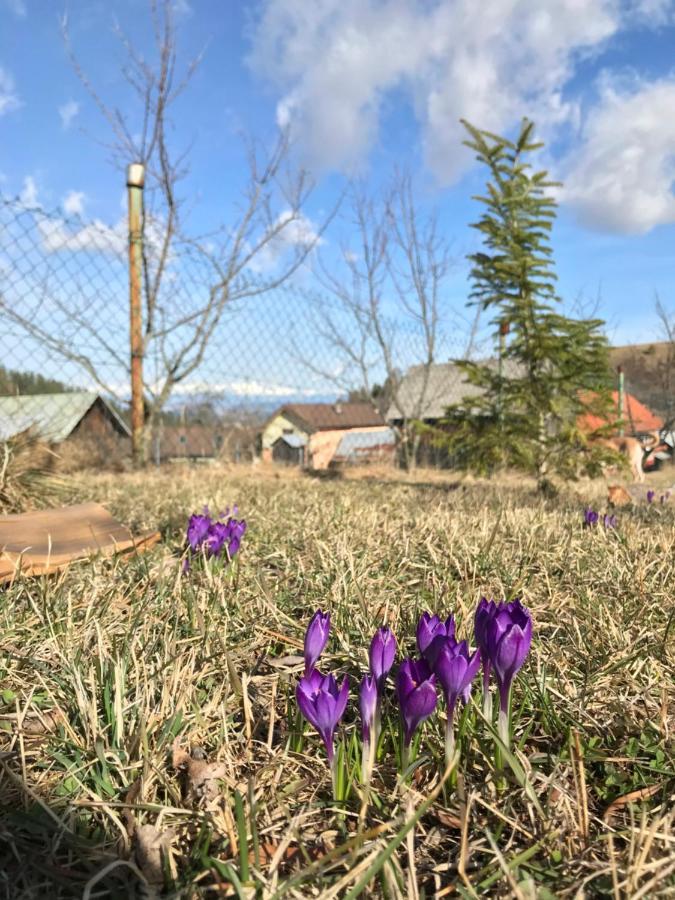 Chalupa Helena Na Poraci Dış mekan fotoğraf